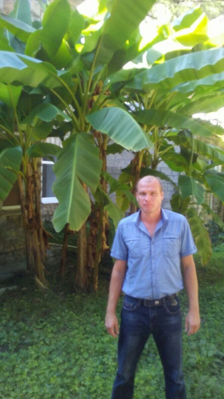  24044675  , 44 ,    --