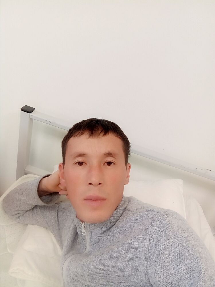  24596195  , 41 ,    