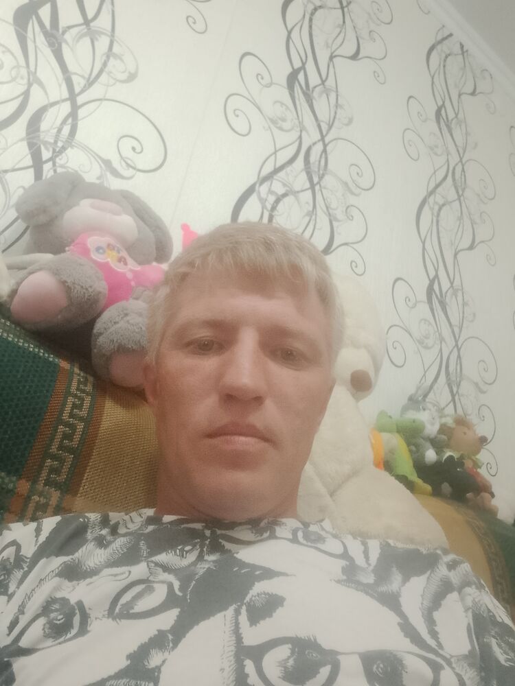  53067775  , 39 ,    