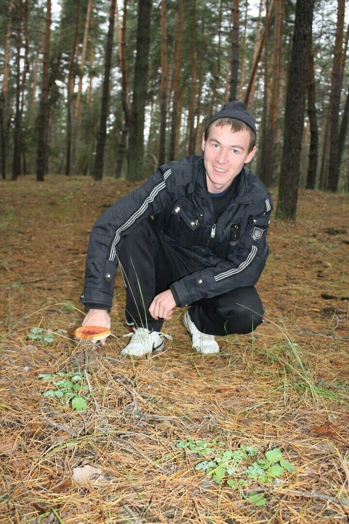 ���������� ��������, ���� ������� ���������, 36 ���, ������������ 