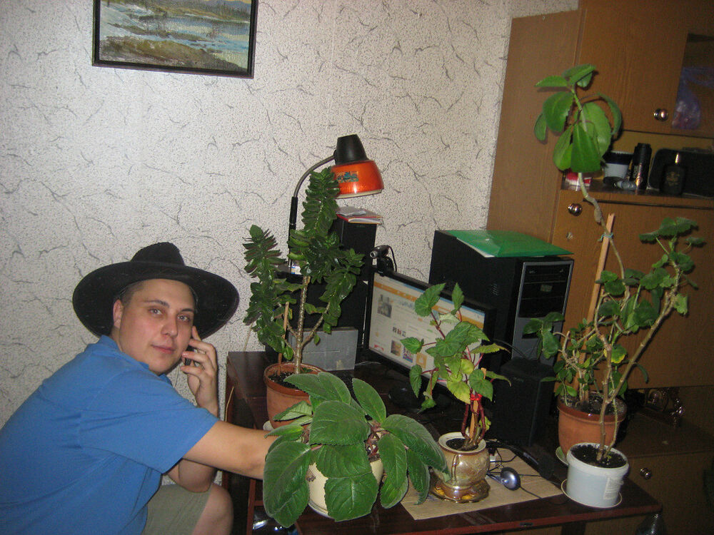 ���� 49654885 ������� �������, 37 ���, ���� ���������� � ��������