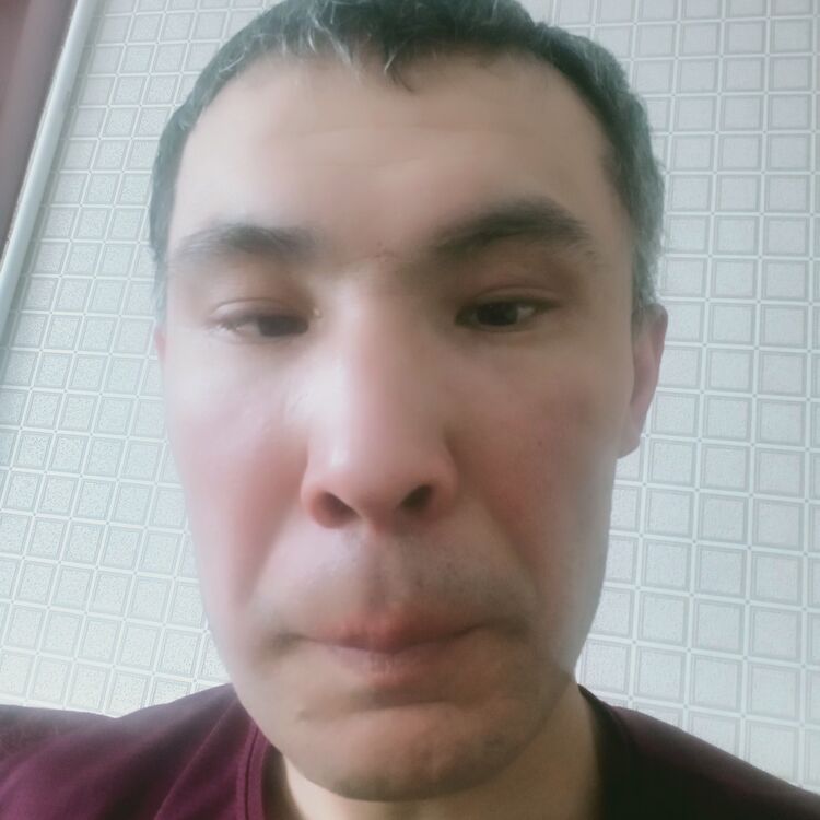  40936555  , 38 ,    
