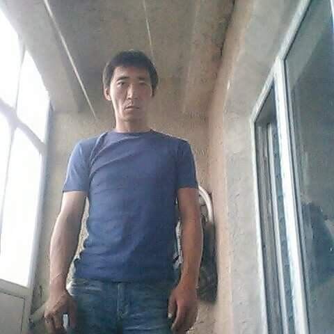  9009555  , 51 ,    