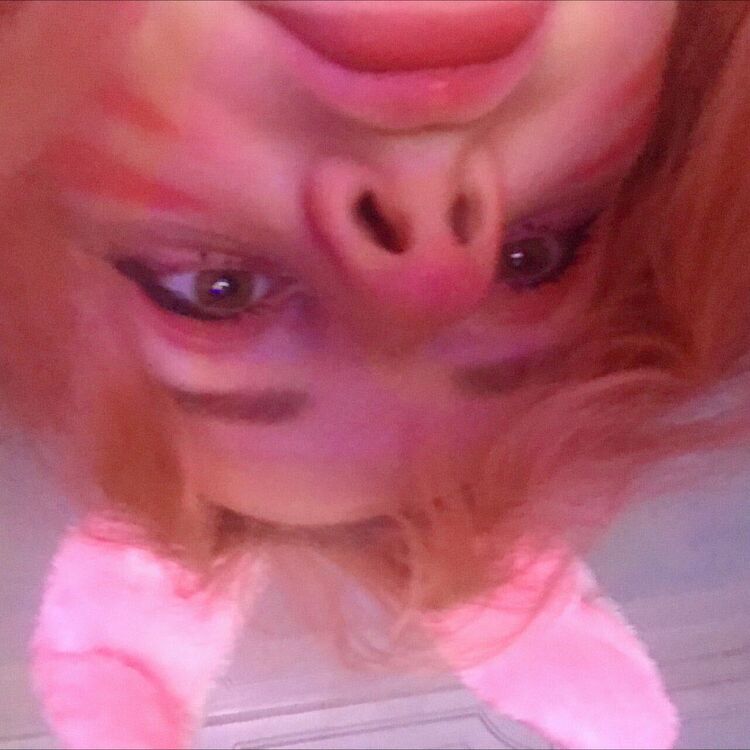 ���������� �����-���������, ���� ������� ��������, 23 ����, ������������ ��� ����� � ���������, ���������