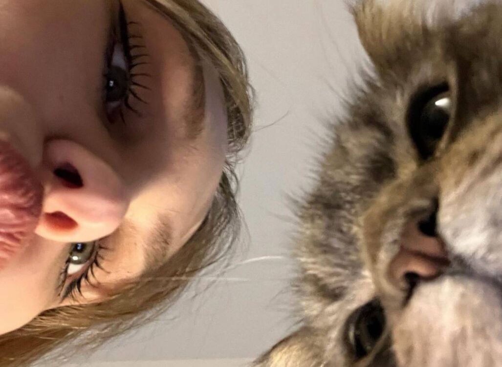 ���������� ������, ���� ������� �����, 22 ����, ������������ ��� ������, ����� � ���������