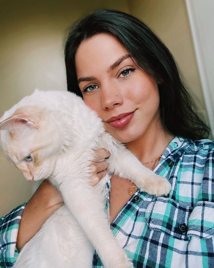 ���������� ������, ���� ������� ����, 29 ���, ������������ ��� ������, ����� � ���������