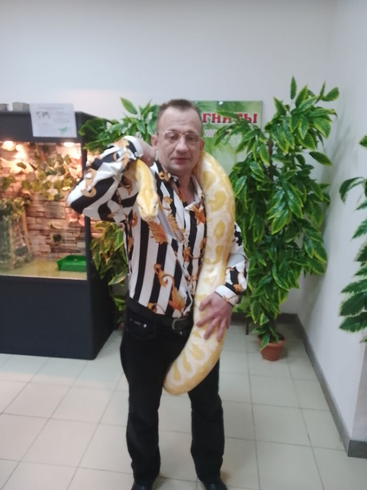 ���� 55818435 ������� �������, 48 ���, ���� ���������� � ����