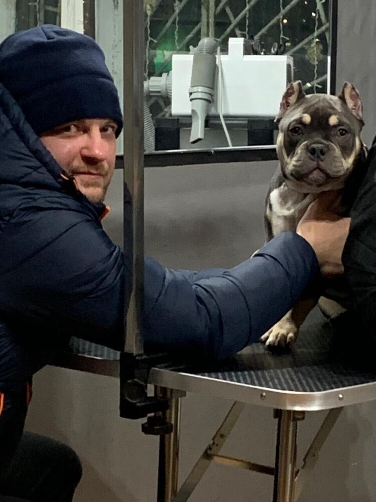 ���������� ��������, ���� ������� �������, 38 ���, ������������ ��� ������, ����� � ���������