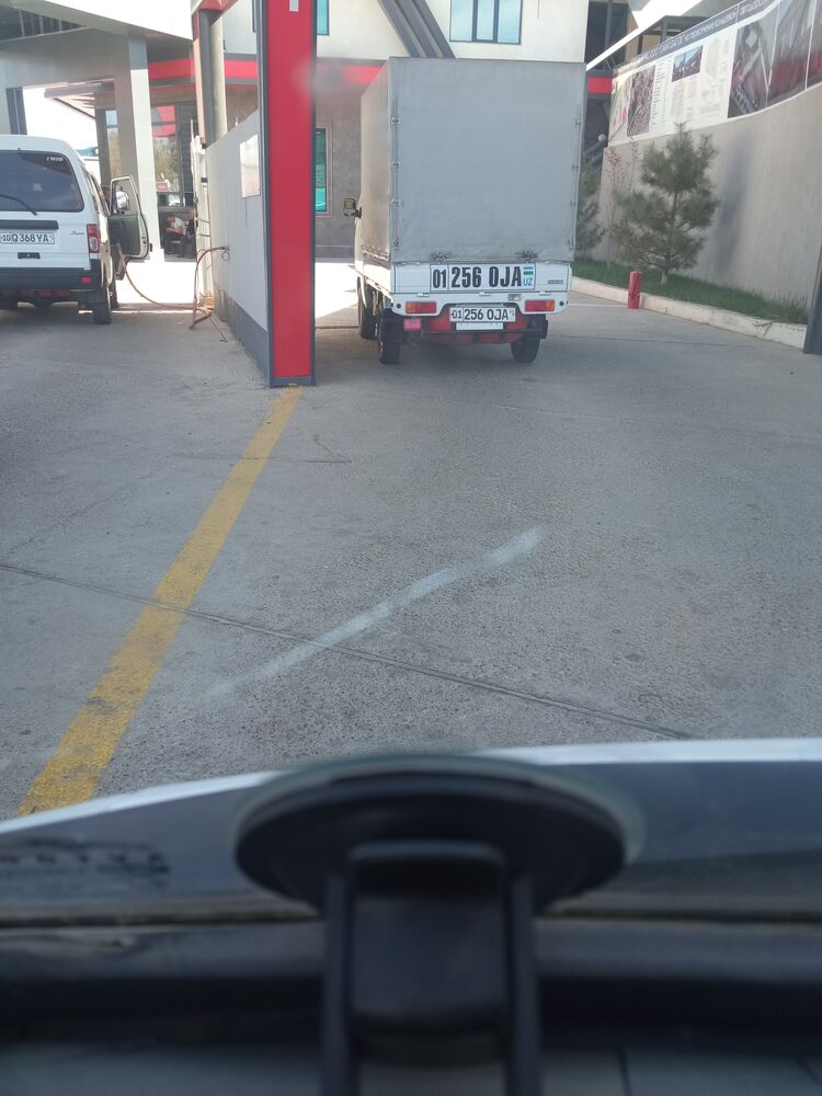  29542775  , 31 ,    