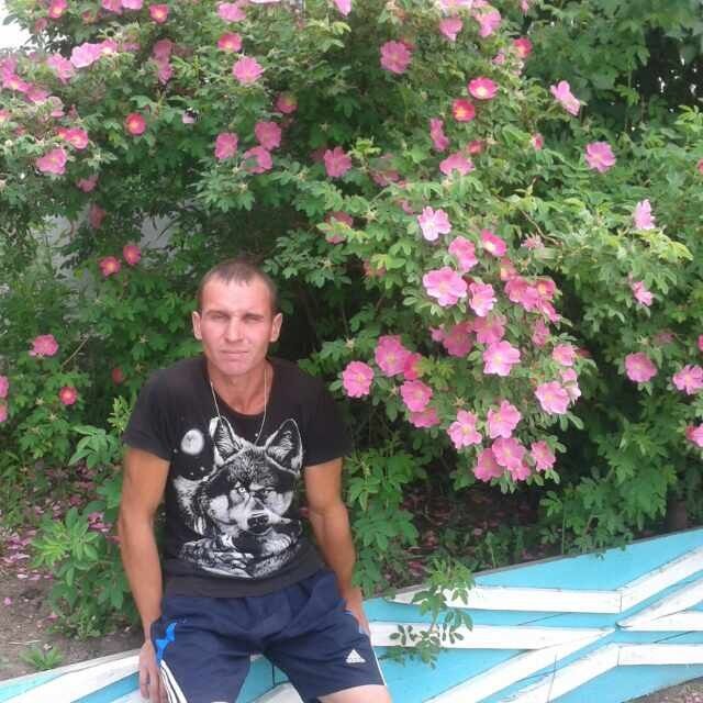 ���� 8355505 ������� ����, 36 ���, ���� ���������� � ��������