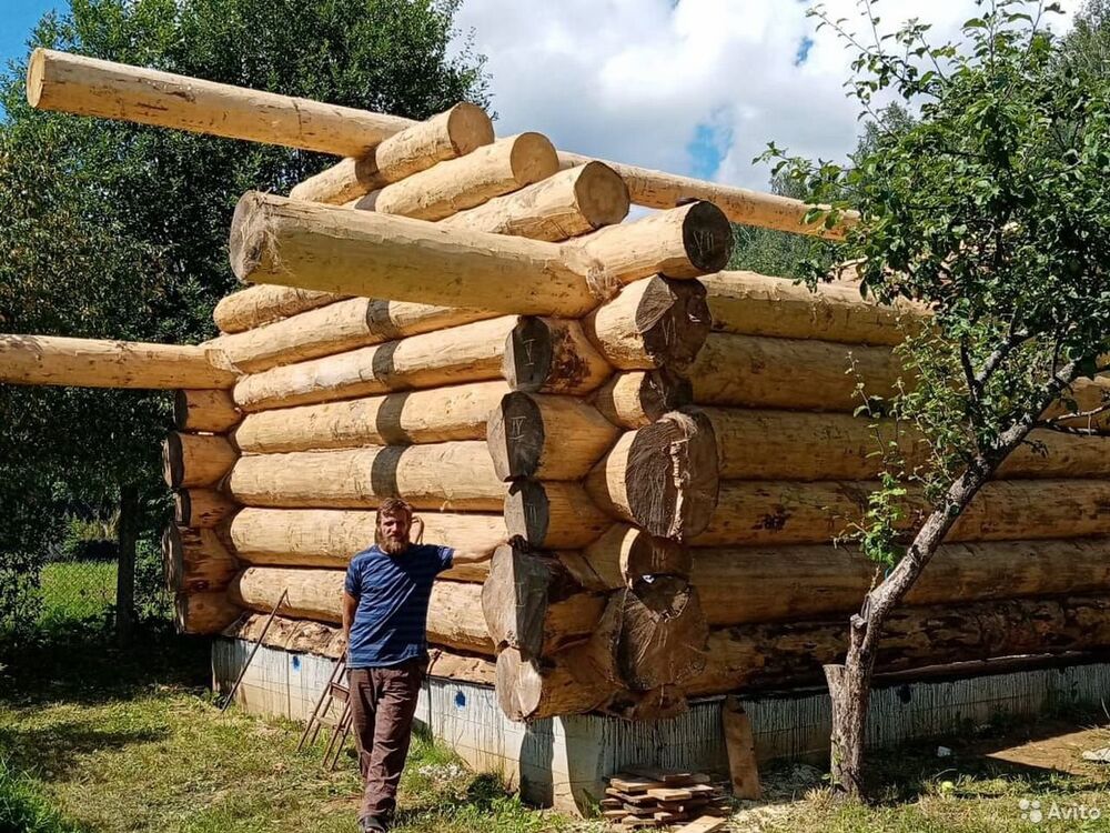 ���������� �������, ���� ������� Nic, 47 ���, ������������ ��� ������, ����� � ���������, c�������� ���������