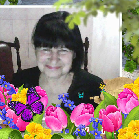  ,   , 73 ,   ,   