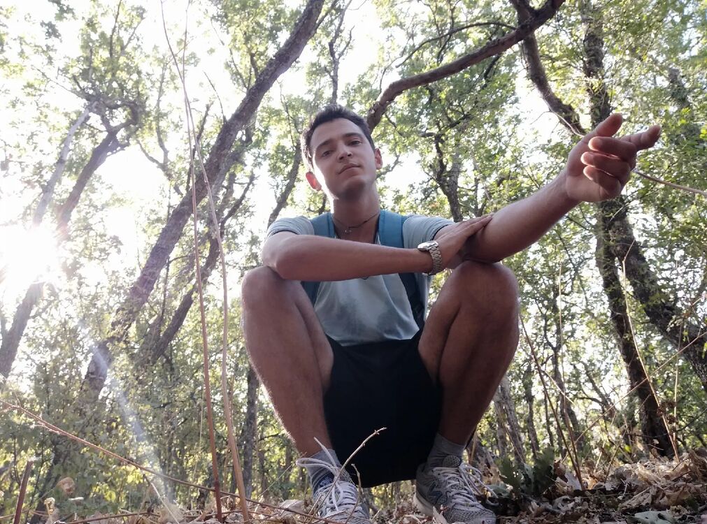  34844885  , 31 ,    