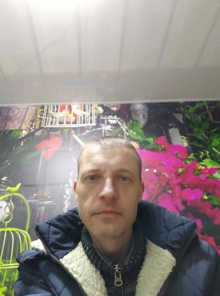 25151685  , 50 ,    