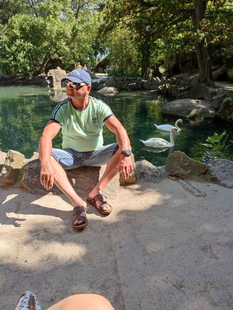 ���� 24586145 ������� ��������, 50 ���, ���� ���������� � ������