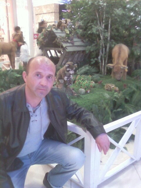 ���������� �������, ���� ������� �������, 50 ���, ������������ ��� ������, ����� � ���������, c�������� ���������