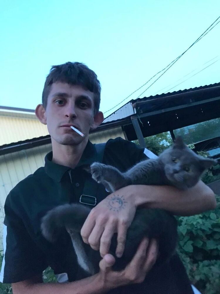  53903415  , 24 ,    --