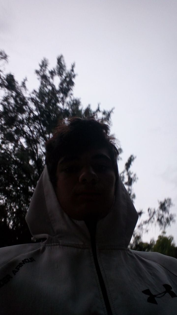 ���� 24685115 ����� ���, 24 ����, ���� ���������� � ���������