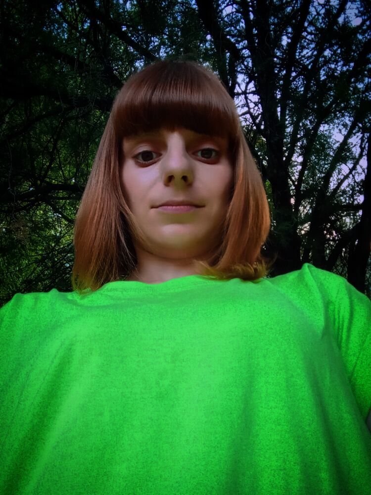 ���������� ����������, ���� ������� �������, 29 ���, ������������ ��� ������, ����� � ���������