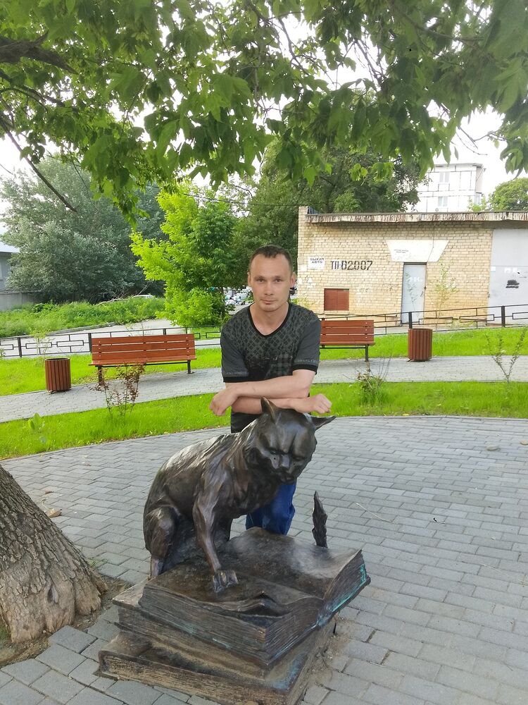  52805445  , 31 ,    