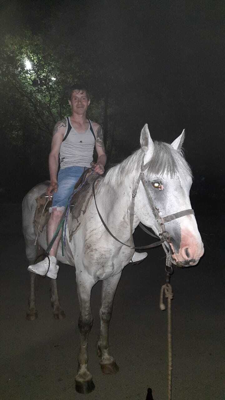 ���� 25243885 ������� ���������, 35 ���, ���� ���������� � �������