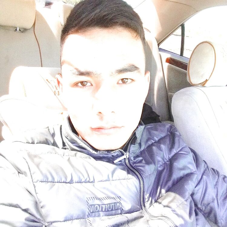 ���� 16178315 ������� �������, 31 ���, ���� ���������� � ��������