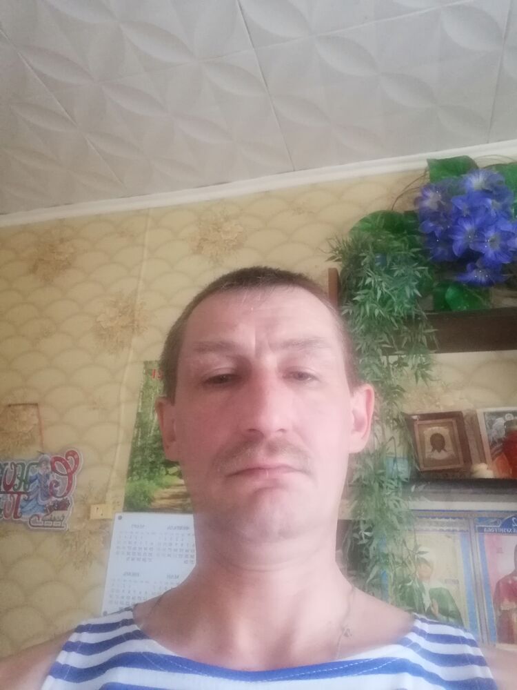  33099305  , 49 ,    