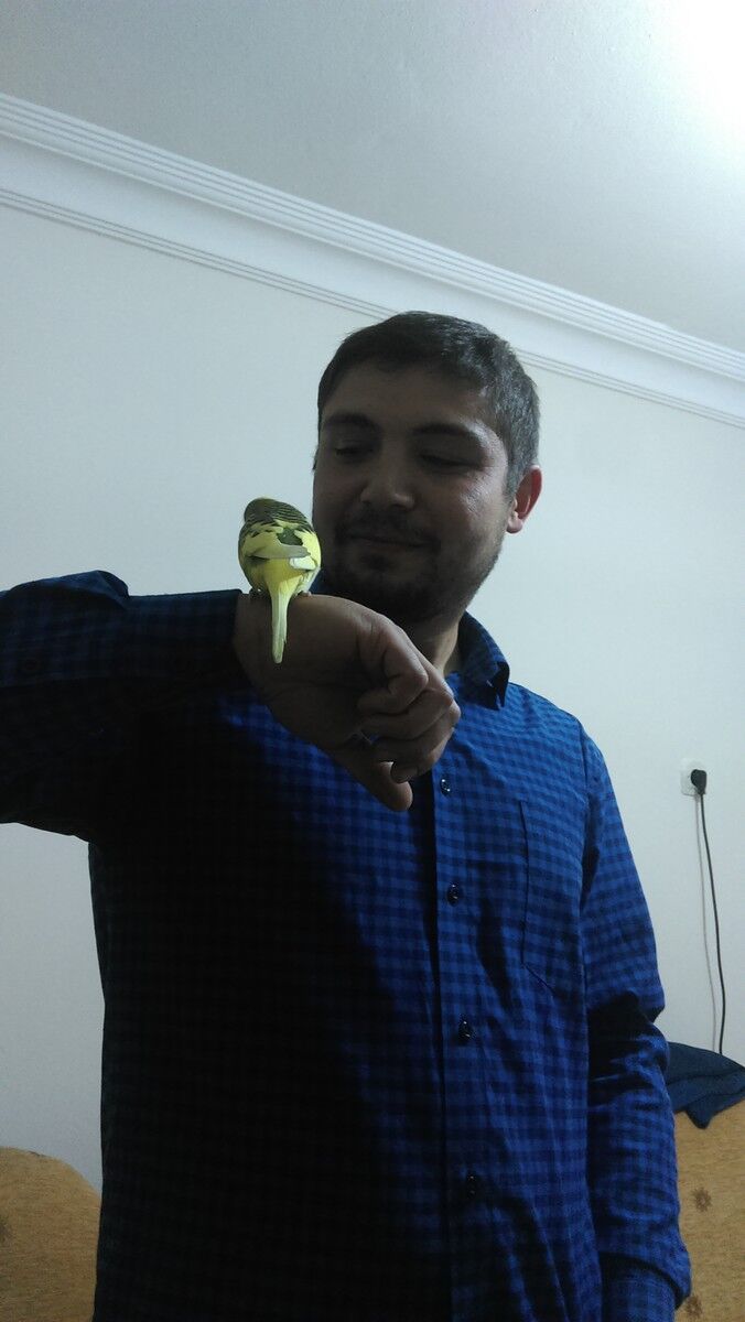 ���� 6810815 ������� Akmal, 38 ���, ���� ���������� � ��������