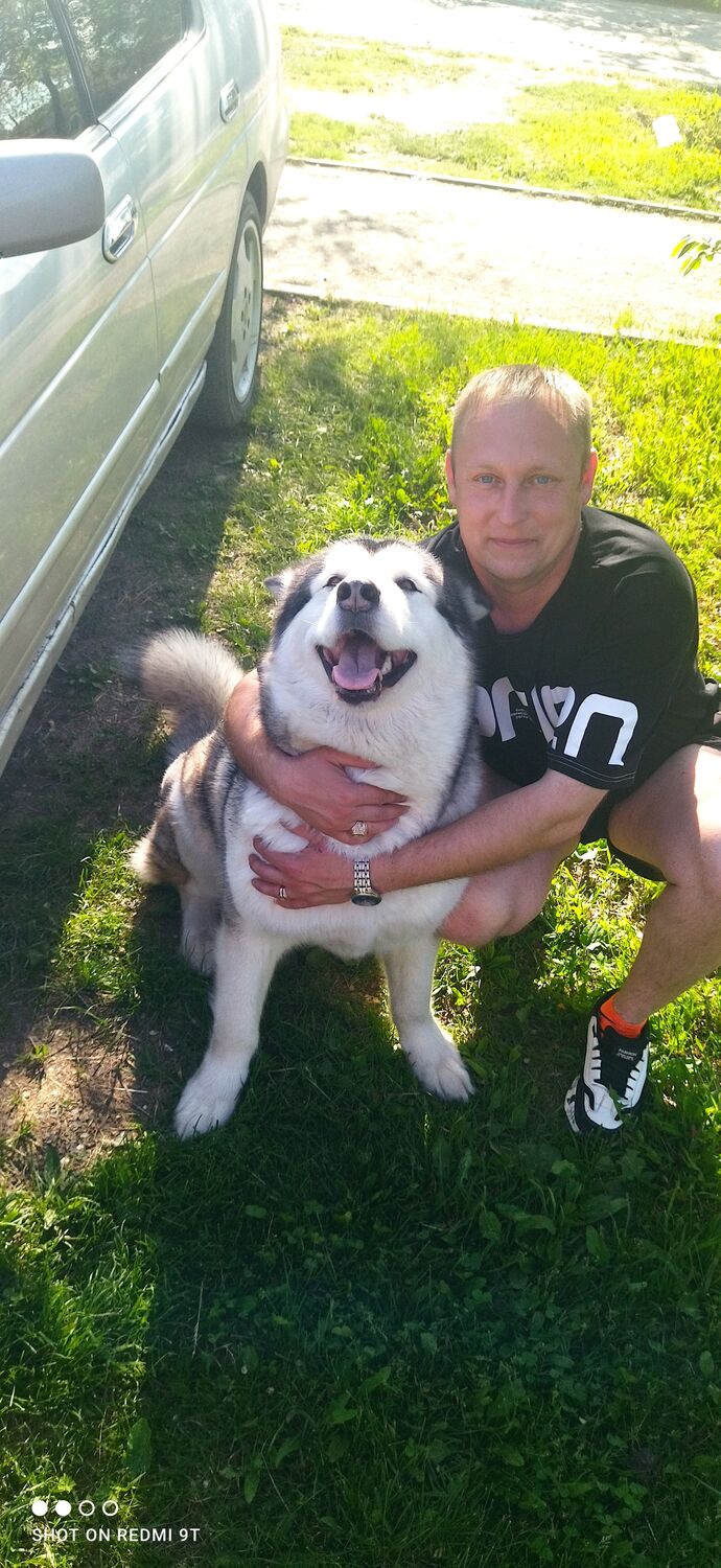 ���� 29875495 ������� Petr, 36 ���, ���� ���������� � ����������