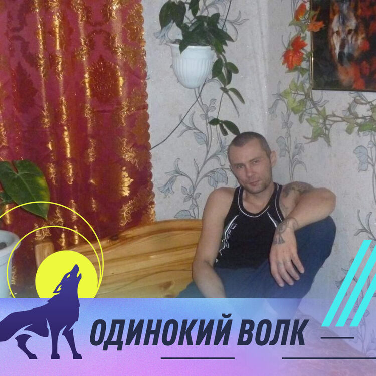 ���� 39562365 ������� ������, 42 ����, ���� ���������� � ��������