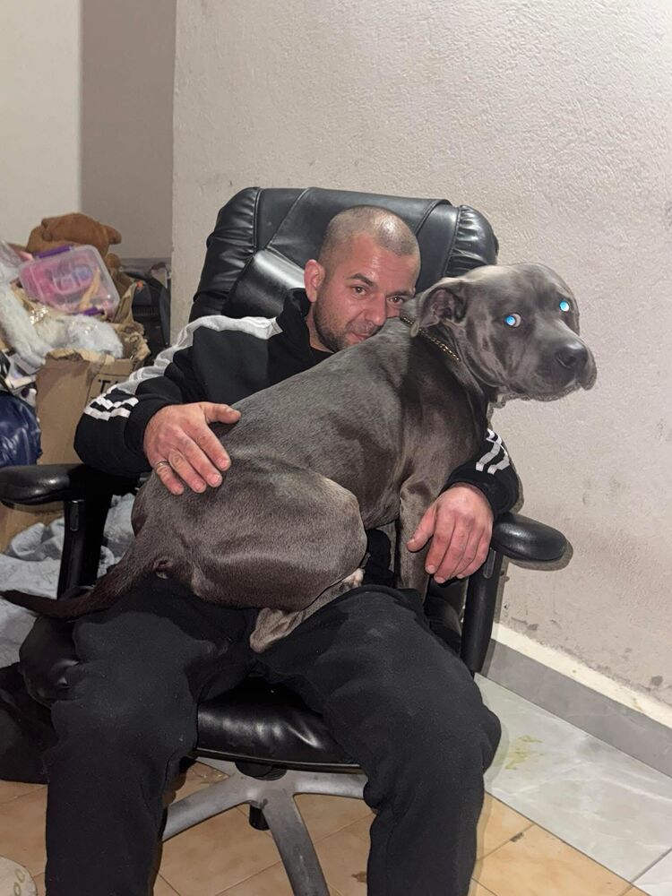  ,   Mike, 36 ,   ,   