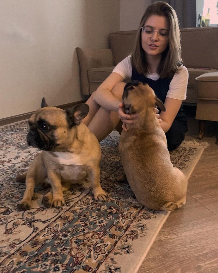 ���� 25600435 ������� ����������, 24 ����, ���� ���������� � ������