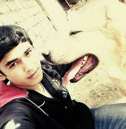 ���������� �������, ���� ������� ��������, 33 ����, ������������ ��� ����� � ���������, c�������� ���������