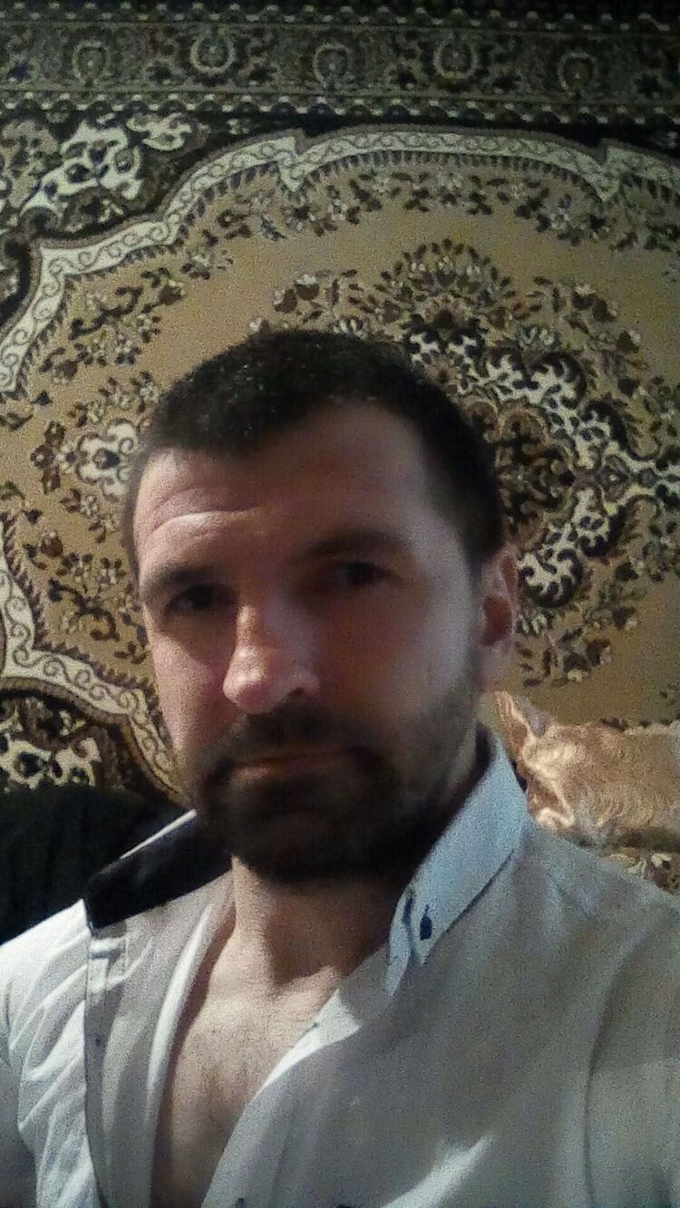  53434235  , 43 ,    