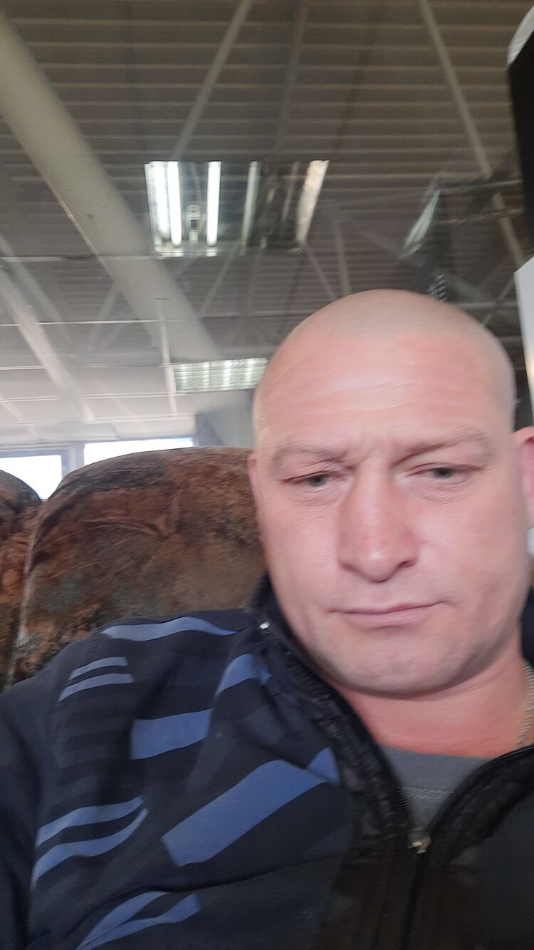  44456365  , 43 ,    