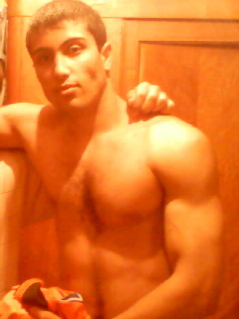  8205575  , 36 ,    