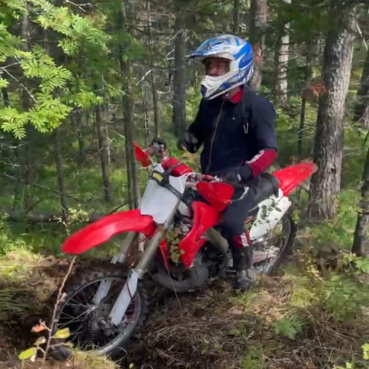 ���� 28659205 ������� ������, 36 ���, ���� ���������� � �����������