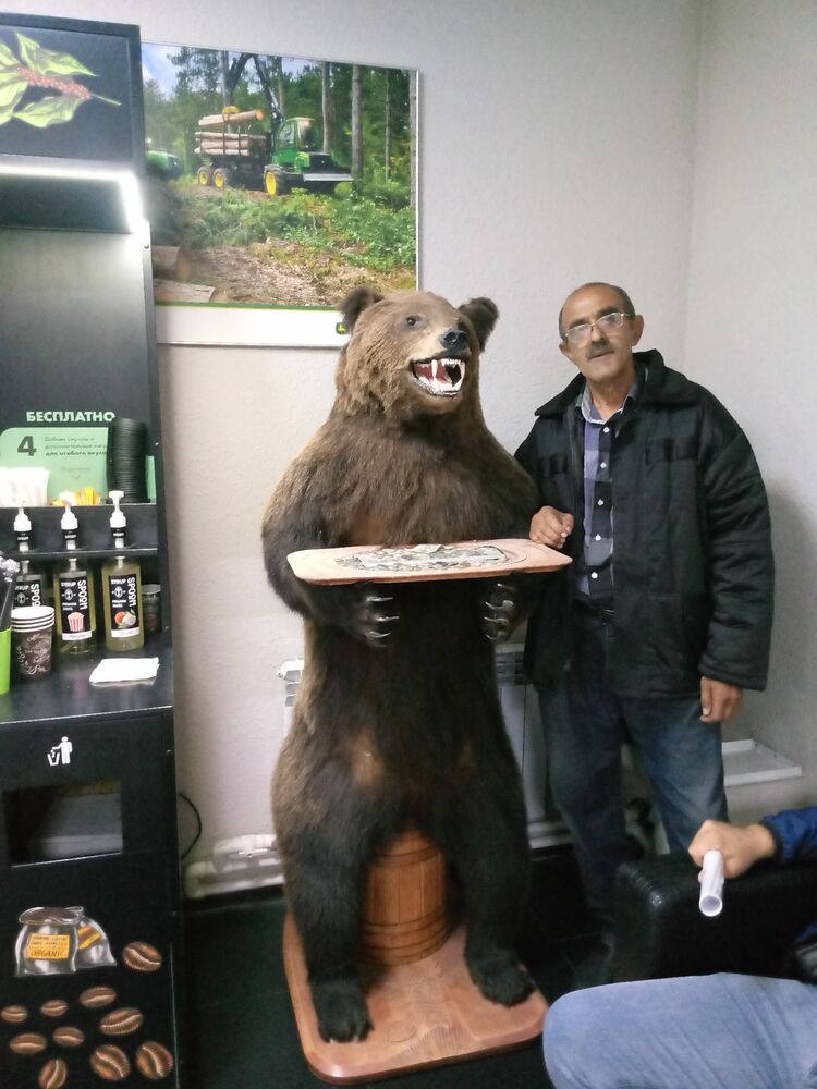  50775405  Alisafa, 59 ,    -