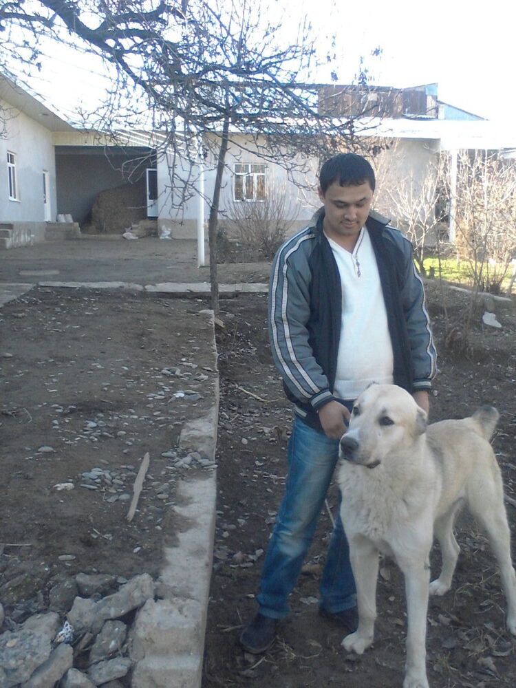  ,   Sardor, 37 ,     , c , 
