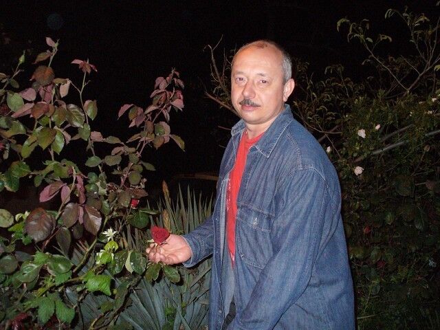  ,   Volk, 60 ,   ,   , c 