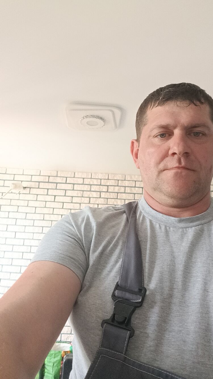  50104765  , 43 ,    