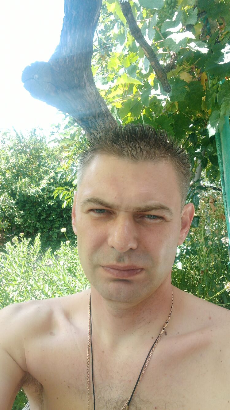  54096855  , 43 ,    