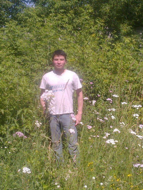 ���������� ������, ���� ������� ����, 38 ���, ������������ ��� ������, ����� � ���������