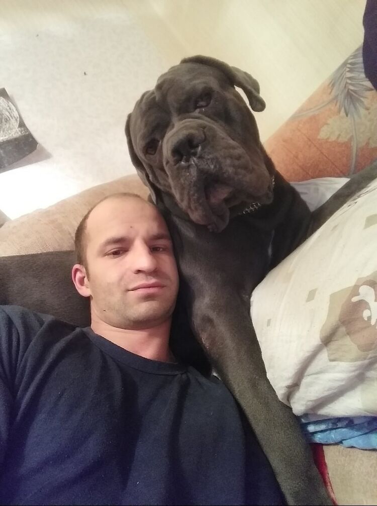 ���� 18155955 ������� ��������, 36 ���, ���� ���������� � ��������