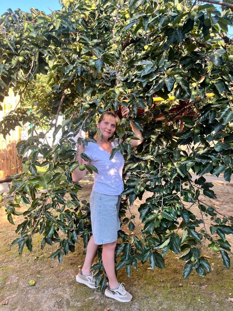 ���������� ����������, ���� ������� �������, 42 ����, ������������ ��� c�������� ���������