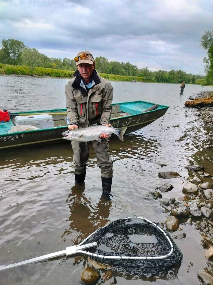  53884655  , 57 ,    -