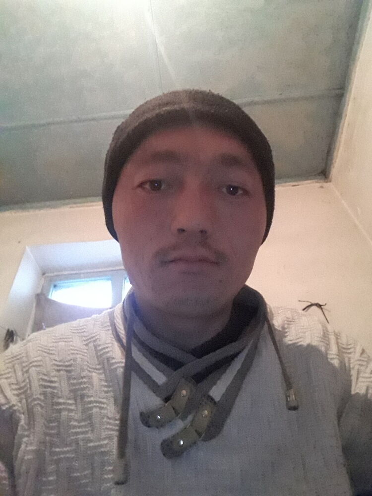 ���� 22113775 ������� ������, 31 ���, ���� ���������� � �������