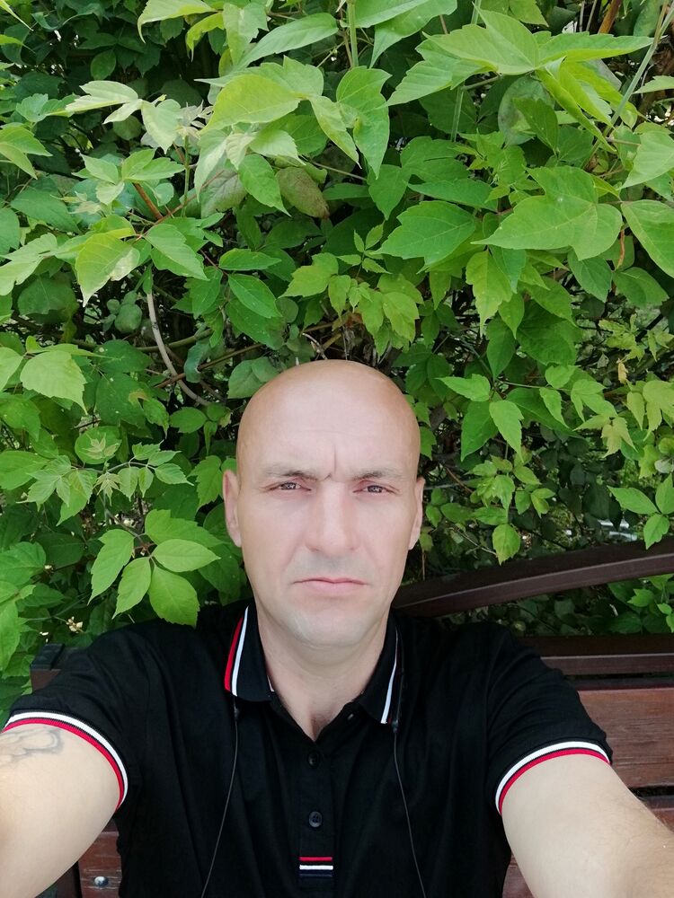  28173945  , 43 ,    