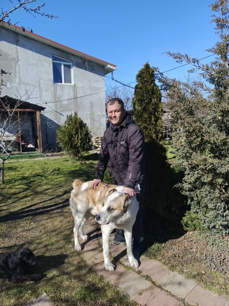 ���� 55908235 ������� ��������, 48 ���, ���� ���������� � ��������