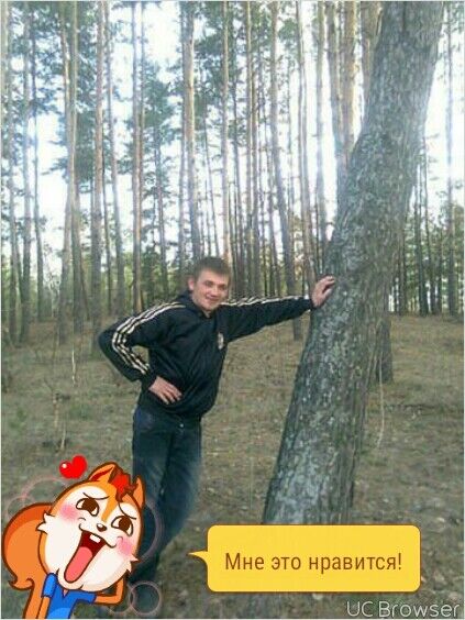  8099555  , 38 ,    